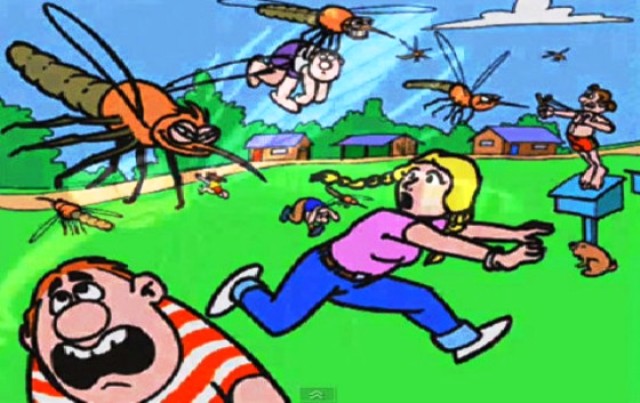Ciudadanos atemorizados por gran cantidad de mosquitos en sectores de Puerto Plata