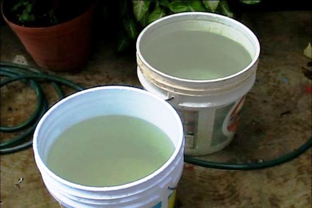 Denuncian que agua potable llega al barrio Haití hedionda y con partículas extrañas
