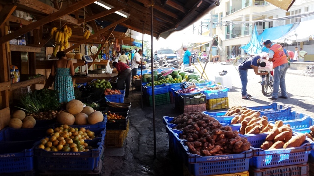Vendedores y consumidores de Puerto Plata aseguran que  los precios de los alimentos “siguen por las nubes”