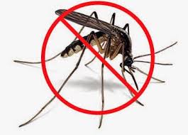 Salud Pública inicia hoy en Puerto Plata jornada de movilización contra el dengue