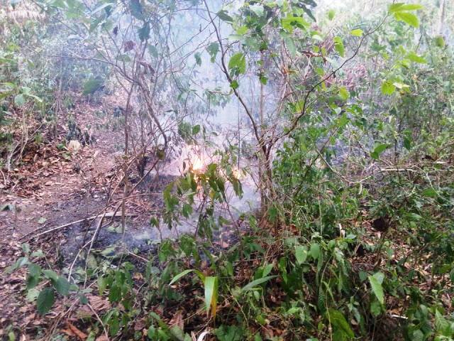 Manos criminales vuelven a provocar tres incendios forestales en tres sitios diferentes de PP en un solo día