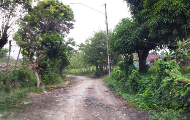 Piden arreglo carretera San Marcos-Sabana del Corozo y en Altamira denuncian malas condiciones caminos vecinales