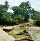 Fuertes aguaceros desbordan ríos en parte oeste de Puerto Plata causando daños a vías y predios agrícolas