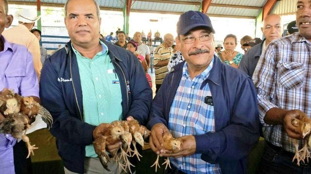 Funcionarios gubernamentales obsequian centenares de gallinas ponedoras y cerdas preñadas en Villa Isabela