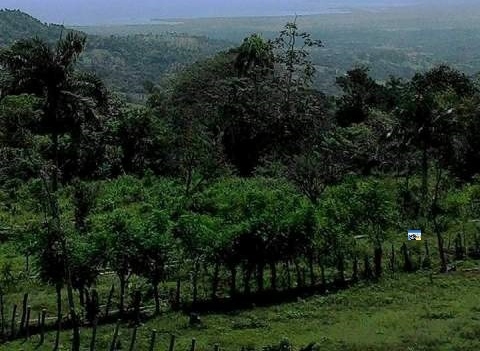 Año Nuevo llegará con lluvias dispersas sobre gran parte del territorio dominicano generadas por sistema frontal y una vaguada