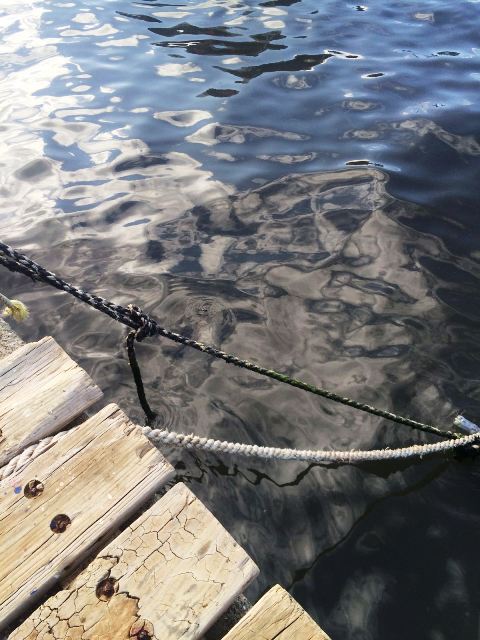 Denuncian que oficinas públicas contaminan Océano con desagüe de registro sanitario en viejo muelle de Puerto Plata