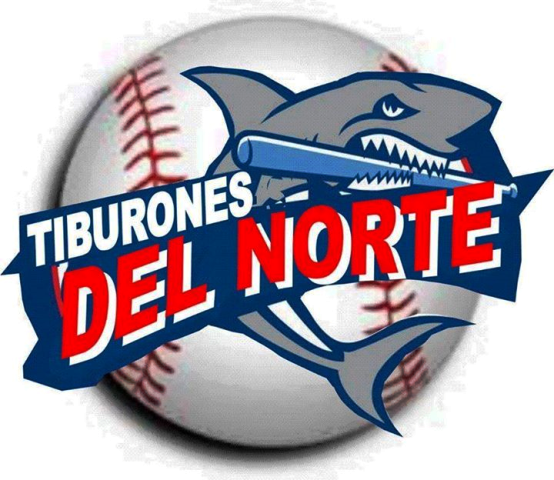 Tiburones del Norte actuales campeones de la Liga de Verano del Cibao convoca talento Puertoplateño