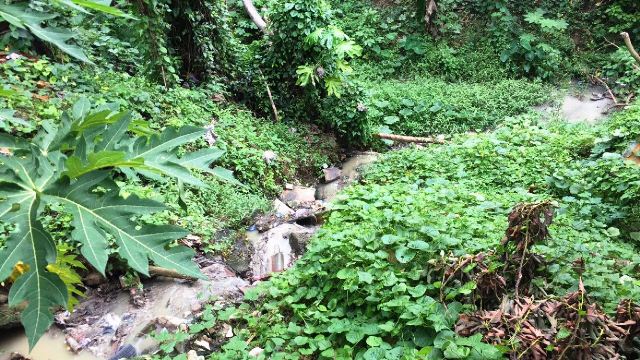 Sistema sanitario sin emisario y bomba de impulsión desagüa en cañada contaminando sector de Sosúa