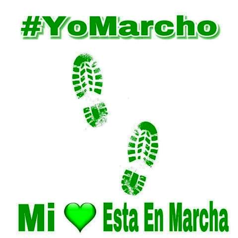 Convocan a población de Puerto Plata a la Marcha Verde contra la corrupción e impunidad el próximo domingo