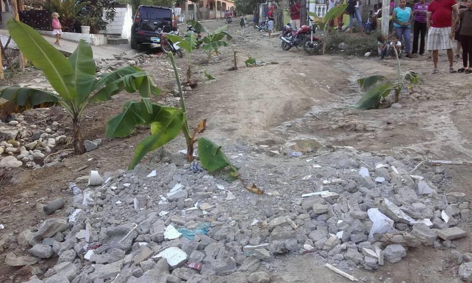 Comunitarios siembran plátanos en calles de sector en Puerto Plata por mal estado de vías