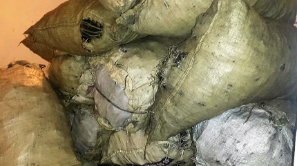 Incautan sacos de carbón vegetal y armas en operativo realizados en parte oeste de Puerto Plata