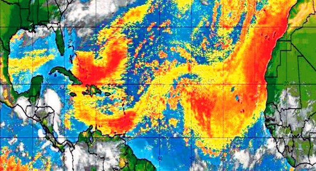 Explican que fenómeno atmosférico del polvo del Sahara es algo natural y que aporta nutrientes a la vegetación