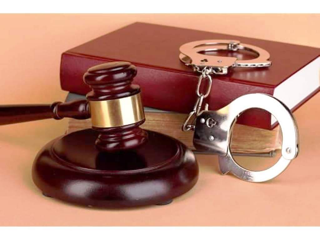 Tribunal de Puerto Plata impone 12 meses de prisión preventiva a 4 jóvenes por traficar con 83 libras de marihuana