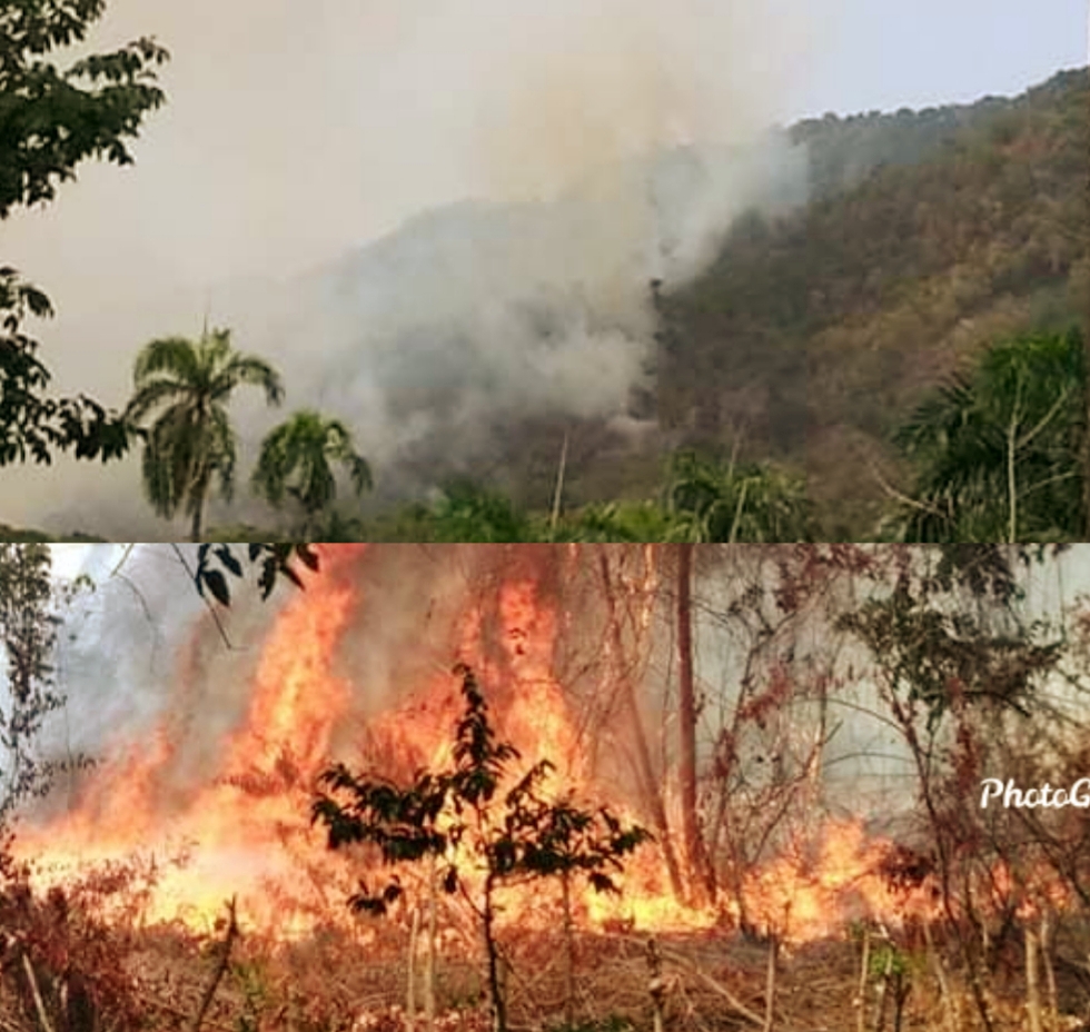 Incendio forestal afecta amplia zona boscosa entre municipios de Imbert y Altamira
