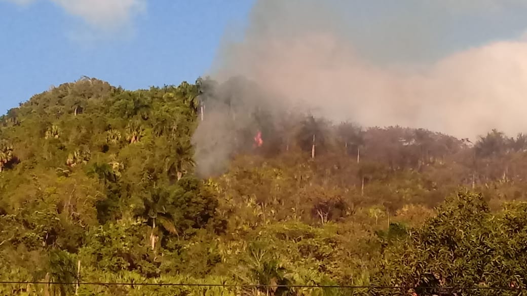 Se registran 2 incendios forestales en Puerto Plata, especulan fueron causados por manos criminales