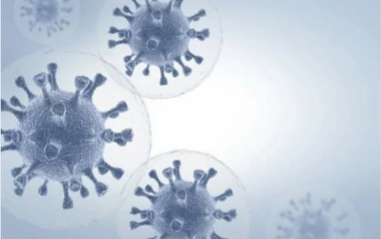 Salud Pública revela se registraron 11 nuevos casos de contagiados con el virus COVID-19 en Puerto Plata