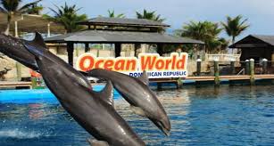 Ocean World Presenta Programa Salud, Seguridad e Higiene