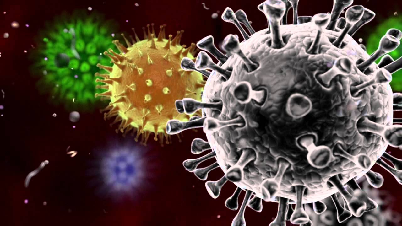 Salud Pública revela 16 nuevos casos del virus COVID-19 en Puerto Plata ya suman 824 acumulados