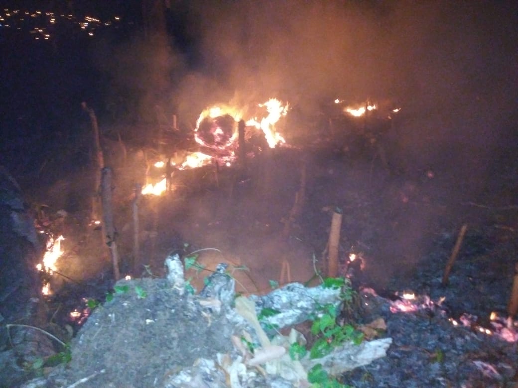 Otra vez desaprensivos provocan incendio forestal en Monumento Natural Loma Isabel de Torres