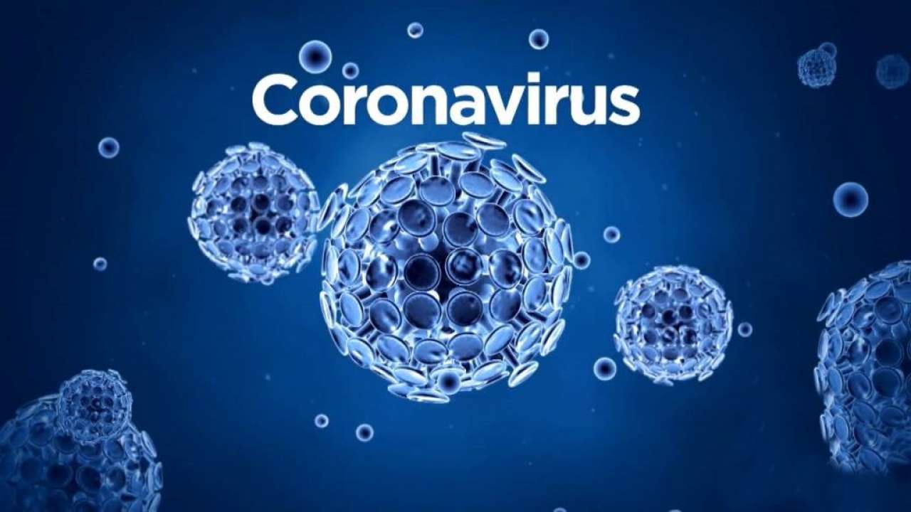 Siguen subiendo casos de Coronavirus en Puerto Plata, cifras oficiales llegan casi a los 900 afectados y 423 recuperados
