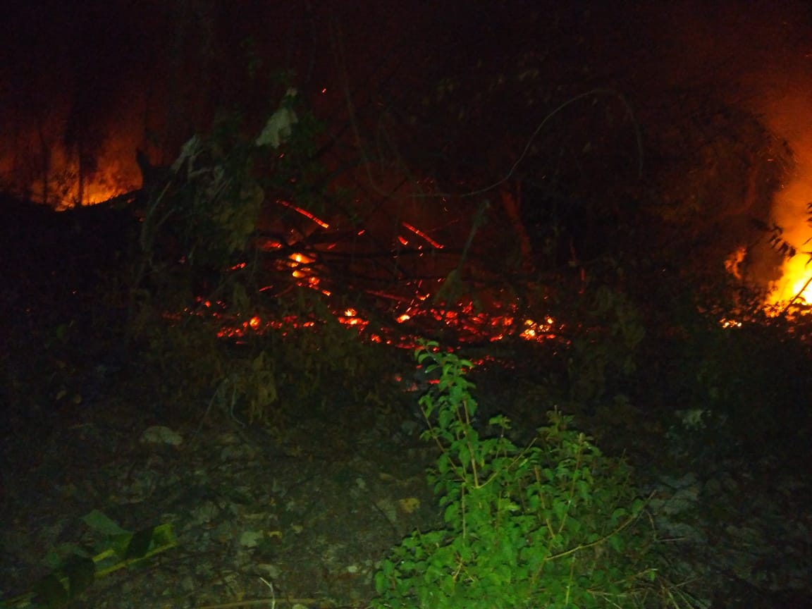 Invasores de terrenos causan incendio forestal en San Marcos al pie de la Loma Isabel de Torres
