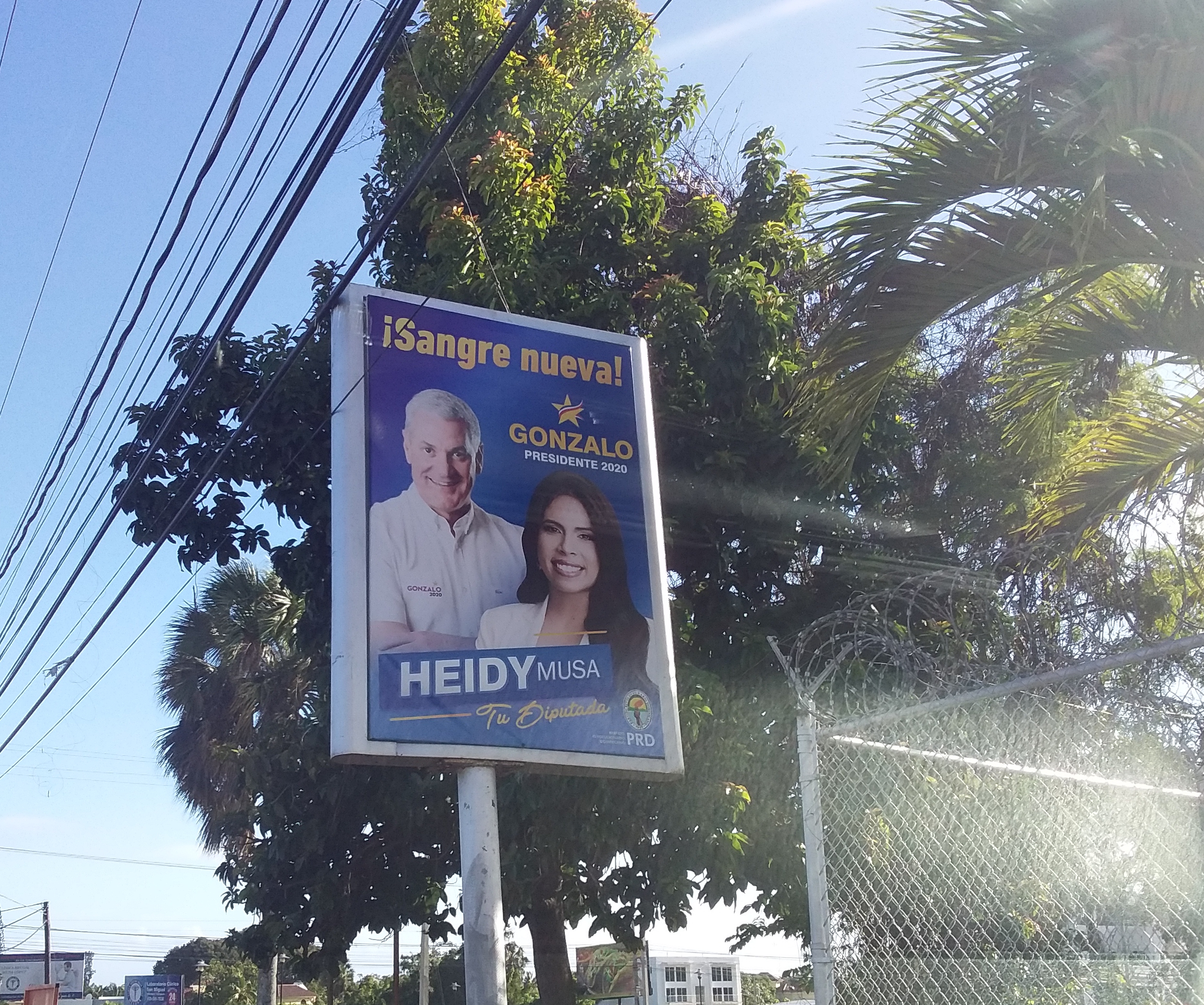  JCE prohíbe difusión propaganda y publicidad candidatos presidenciales y congresuales