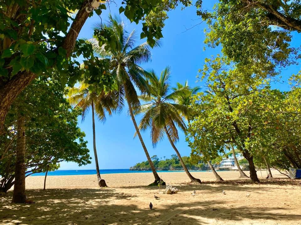 Miles de trabajadores en Puerto Plata viven gran incertidumbre ante paralización del turismo