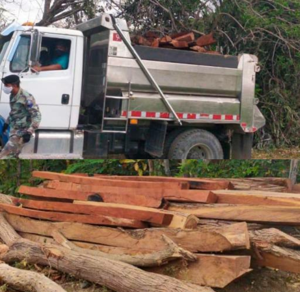 Incautan camión cargado de madera preciosa y detienen 4 personas en comunidad parte oeste de Puerto Plata