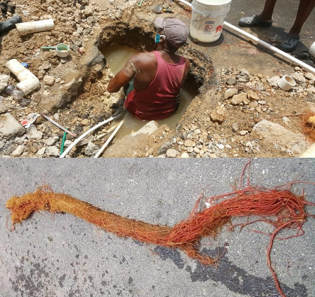 Destapan tubería de agua potable en sector de Sosúa estaba obstruida por una raíz