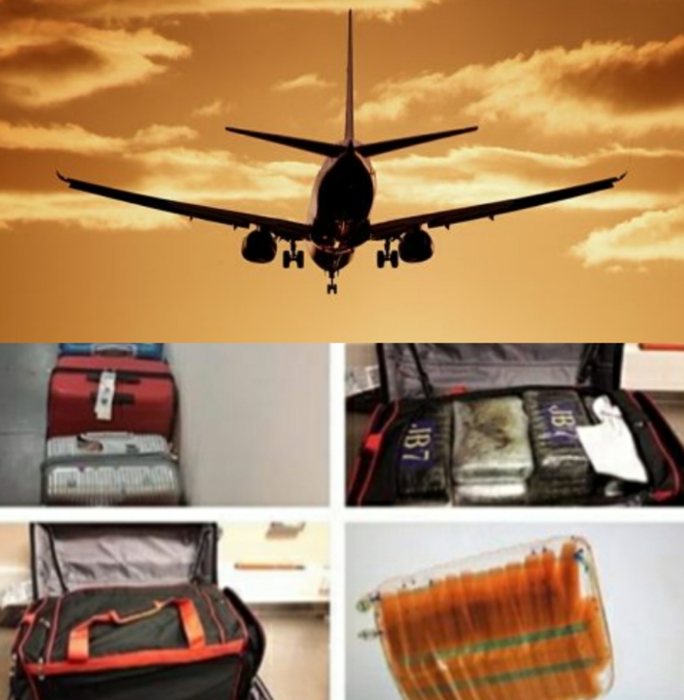 Confirman avión con 350 kilos de cocaína detenido en Bélgica salió por terminal de Puerto Plata, autoridades bajo sospecha