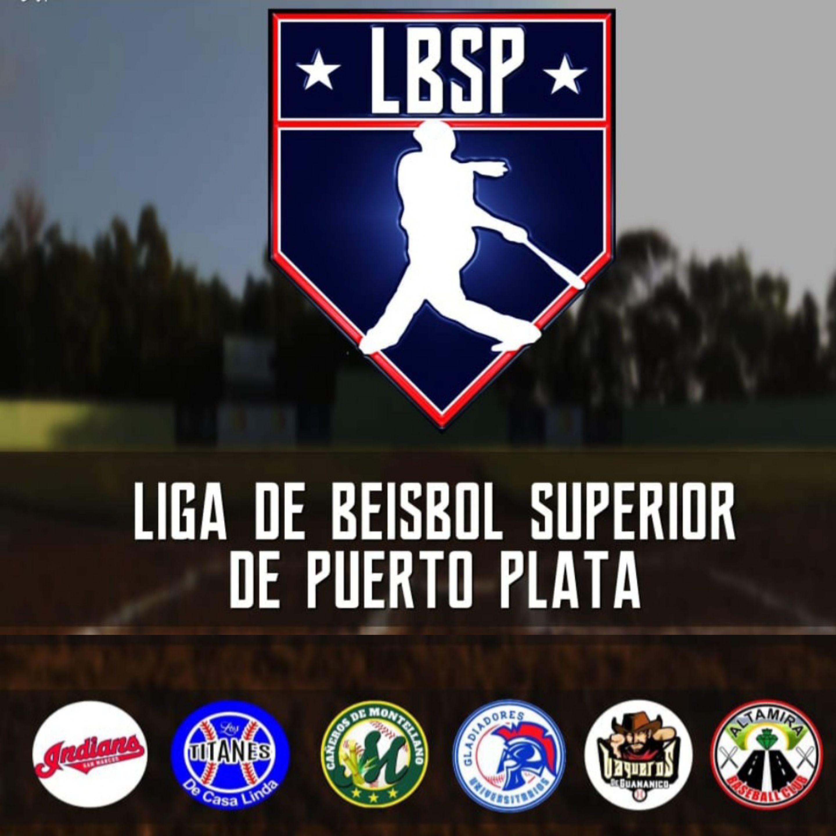 Con seis equipos comienza el próximo domingo Liga de Béisbol Superior de Puerto Plata