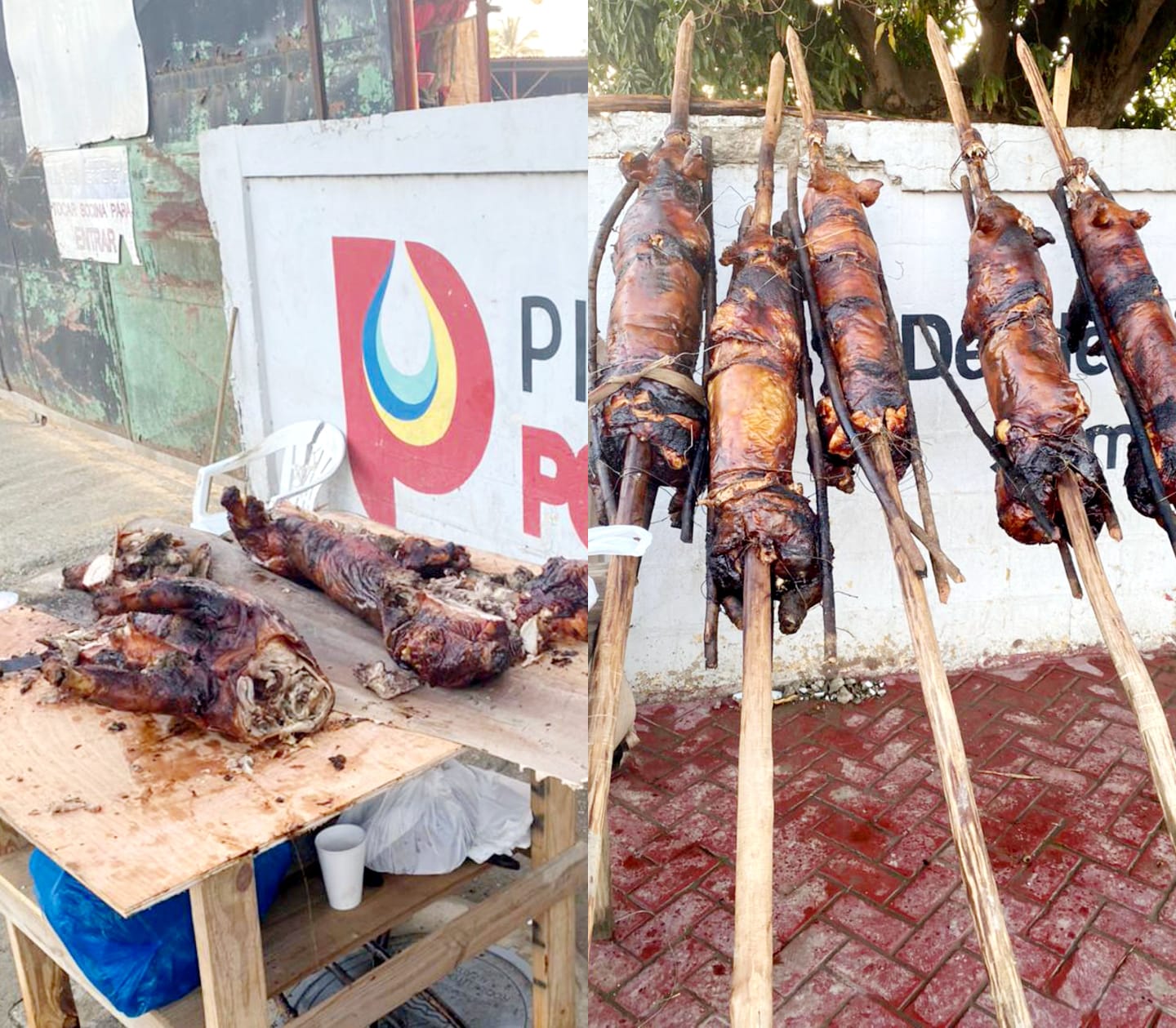 Ventas de cerdos asados para Nochebuena registran merma en Puerto Plata por altos precios