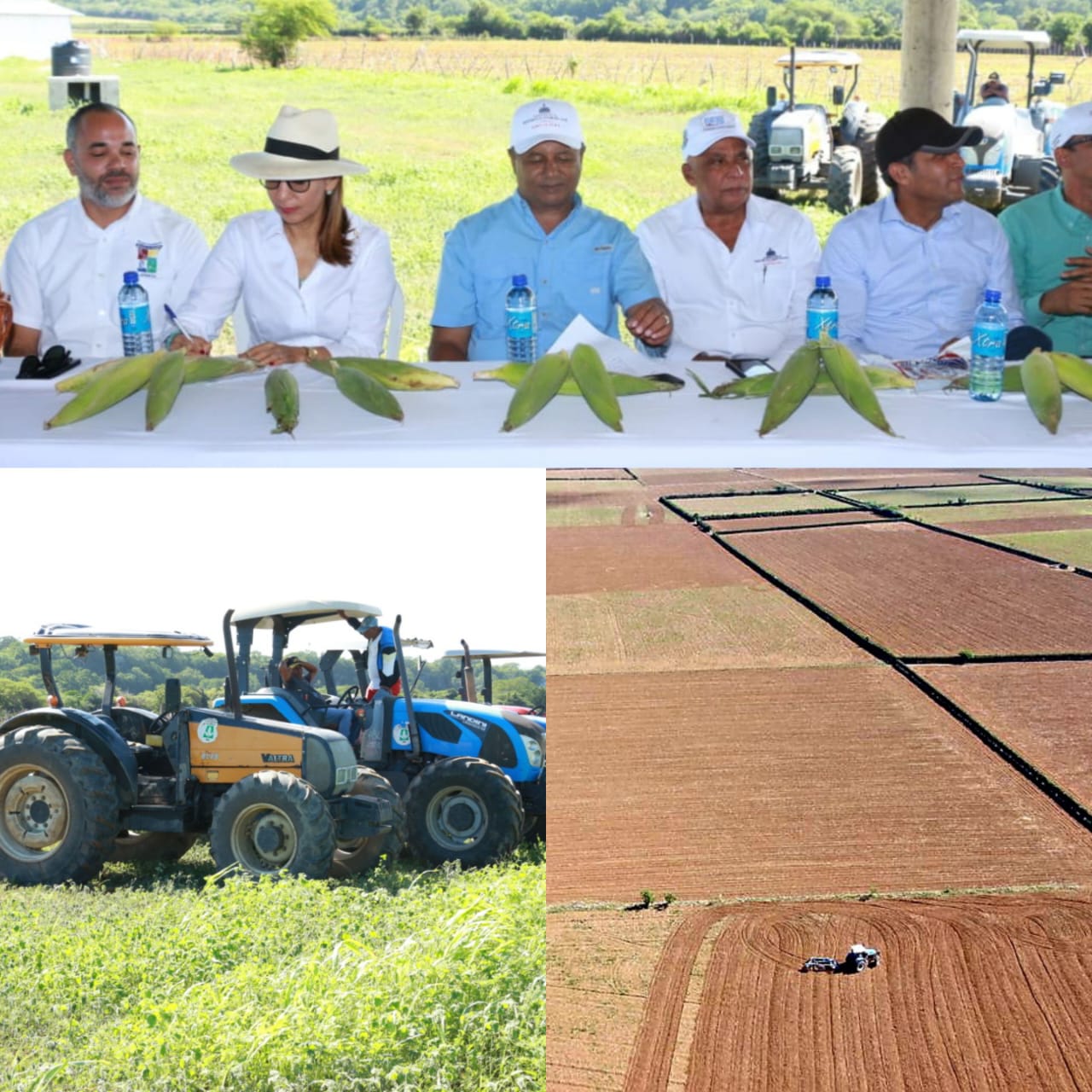 Ministerio de Agricultura lanza programa de siembra de maíz en Las Paredes de Luperón