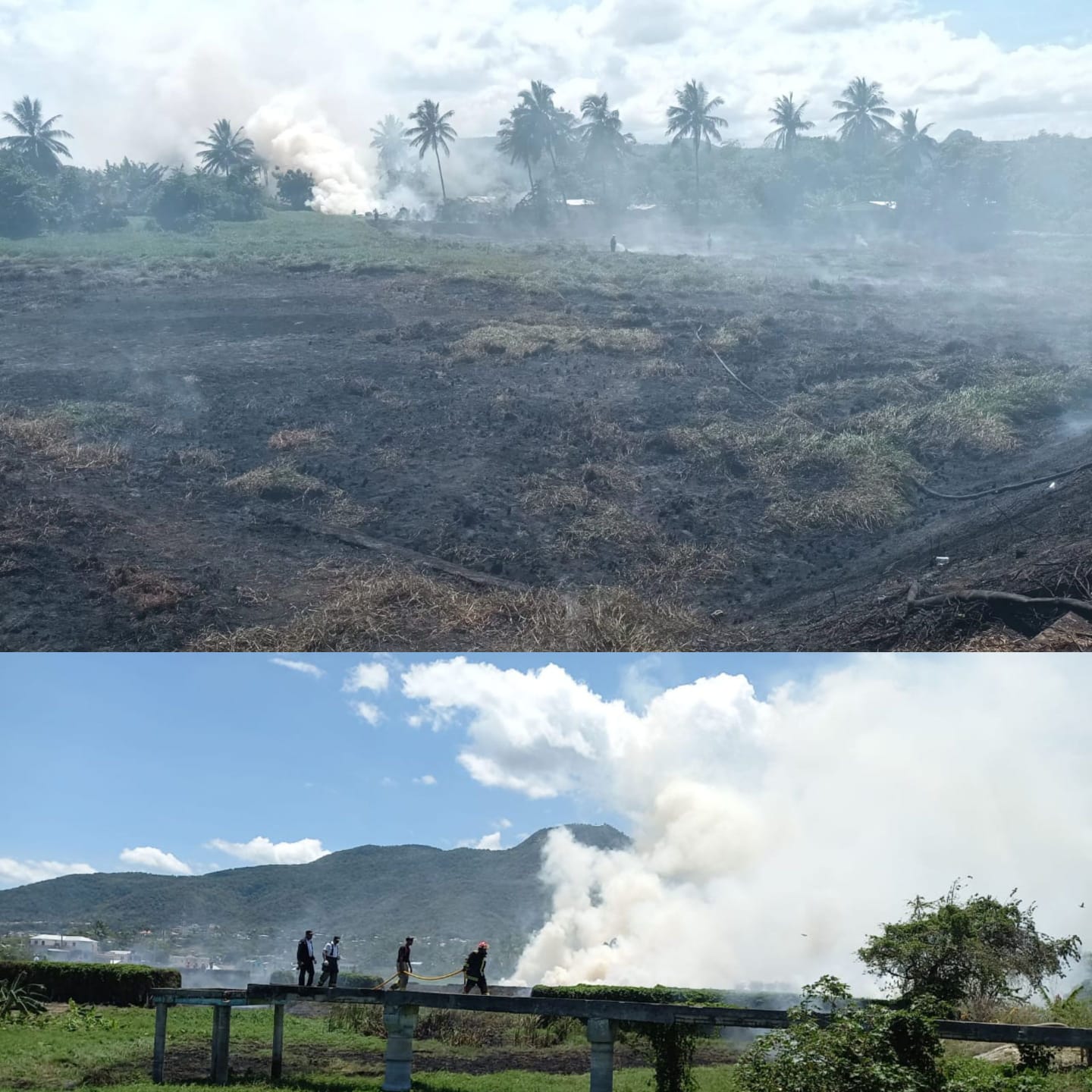Sofocan incendio forestal registrado en depósito planta de pretratamiento en Puerto Plata