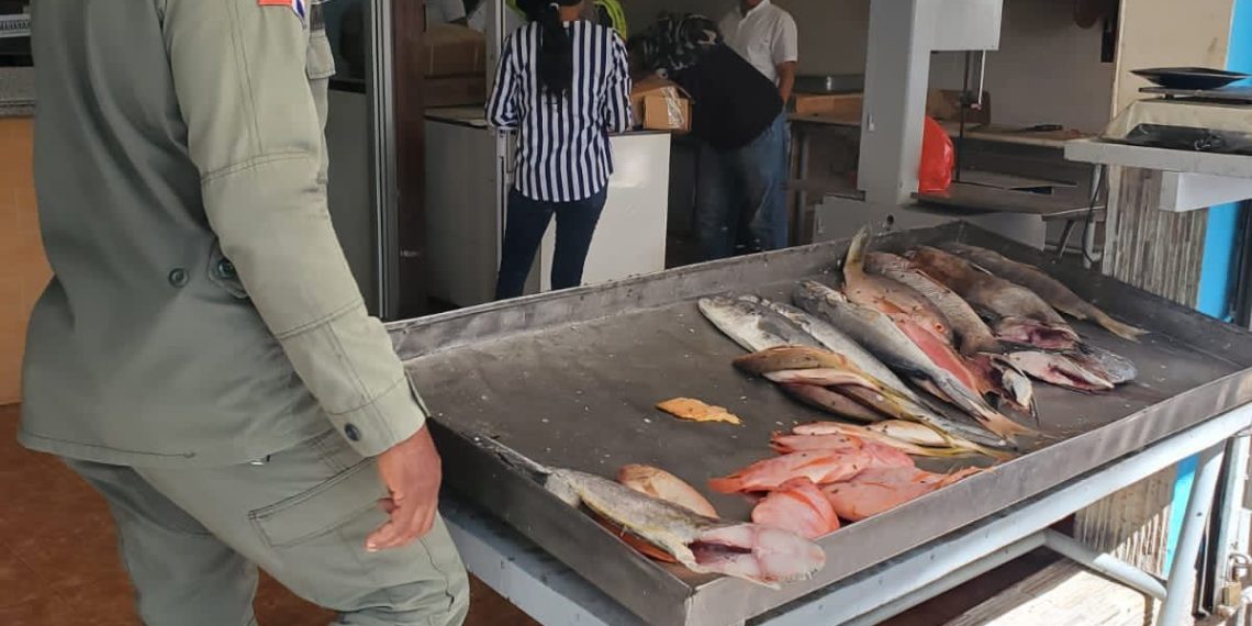 Realizan decomisos simultáneos de pez loro en diferentes provincias del país