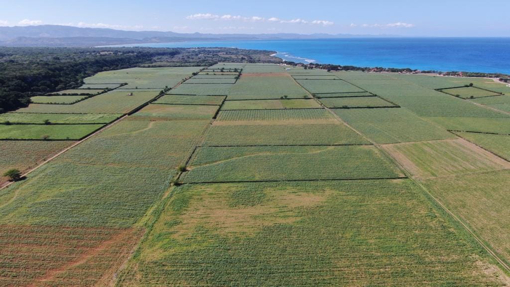 Puerto Plata entre provincias de RD que han perdido superficie eran destinadas para actividades agrícolas
