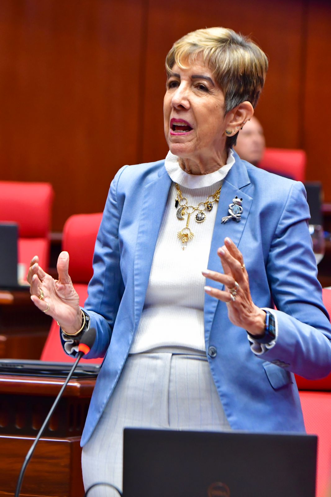   Ginette Bournigal asegura es a EEUU que corresponde investigar denuncia sobre tráfico ilegal de armas hacia Haití 