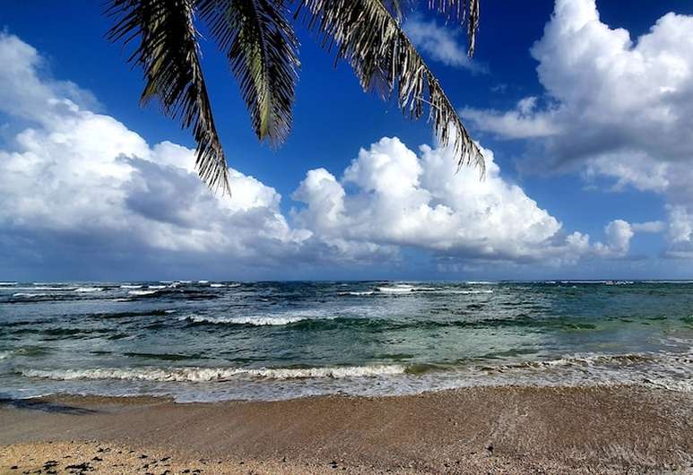 Comienzan a normalizarse condiciones marítimas en Puerto Plata, abren playas a bañistas