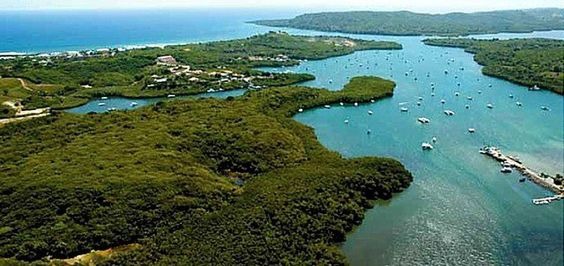  Advierten Medio Ambiente tiene obligación de cuidar y preservar manglares en bahía de Luperón   