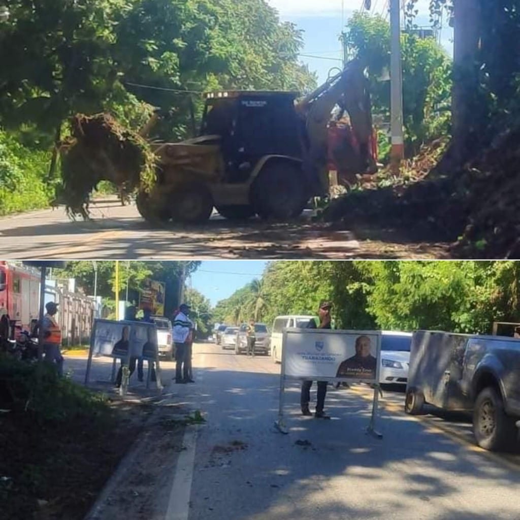  Cabildo de Cabarete realiza labores de limpieza en carretera principal