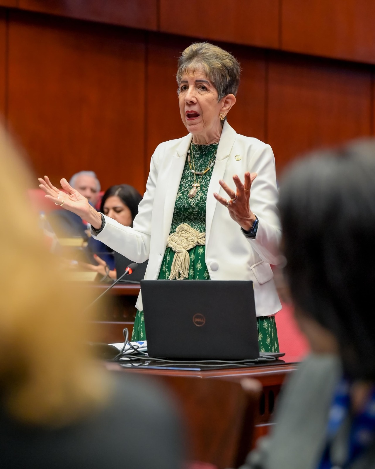 Senadora Ginette Bournigal asegura tras las lluvias Puerto Plata vive una contradicción dolorosa