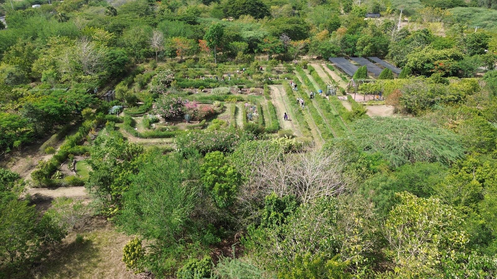 Hijos de colaboradores del Monumento Natural Saltos de la Damajagua visitan Jardín Botánico de Santiago