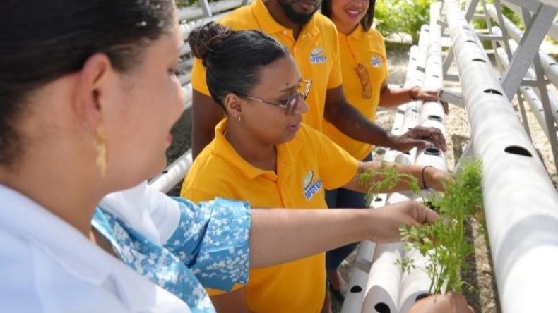 Centro del INFOTEP en Imbert imparte curso de hidroponía para el cultivo de hierbas y vegetales frescos