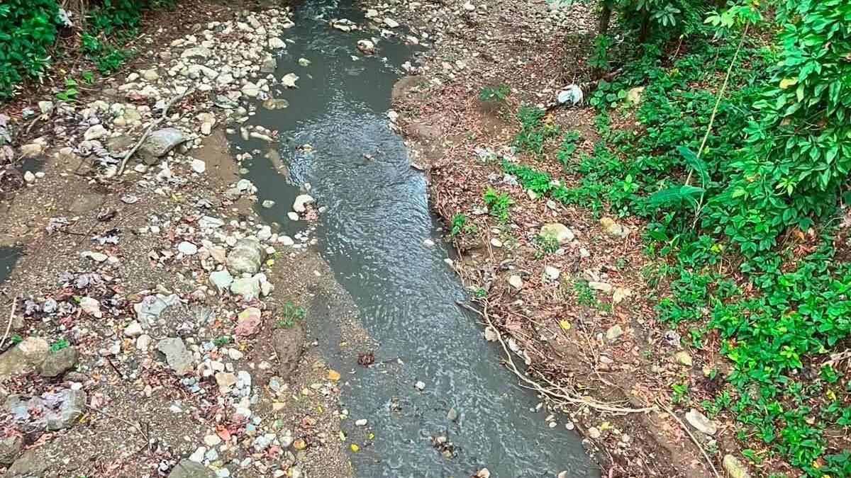 Medio Ambiente interviene y multa a propietarios de pocilgas que contaminaban el río Navas, en Puerto Plata