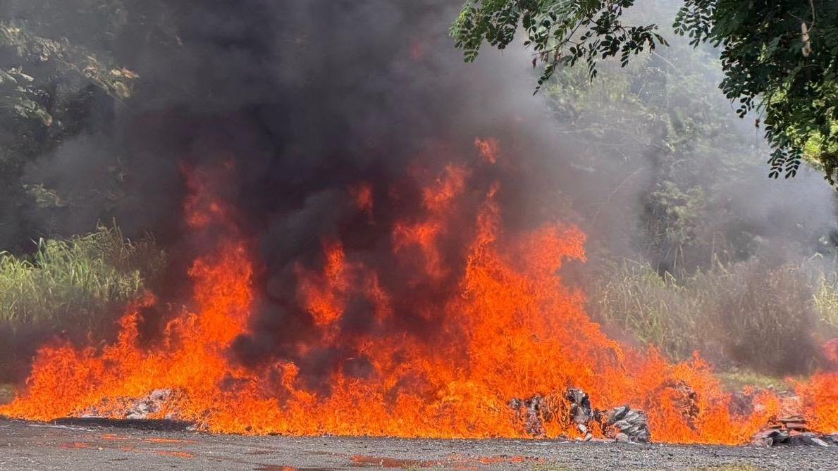     Más de tres toneladas de drogas salen de circulación tras ser destruidas por el Inacif