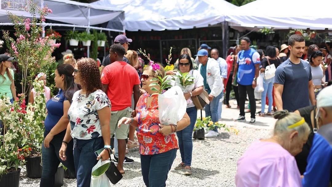 Jarabacoa celebra los 15 años del Festival de las Flores con una edición histórica