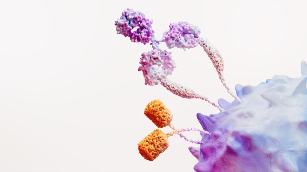 La salud de la mujer frente al cáncer ginecológico y su impacto en RD