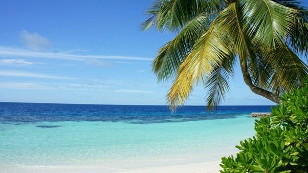 Qué hacer en Playa Juanillo: experiencias premium en Cap Cana