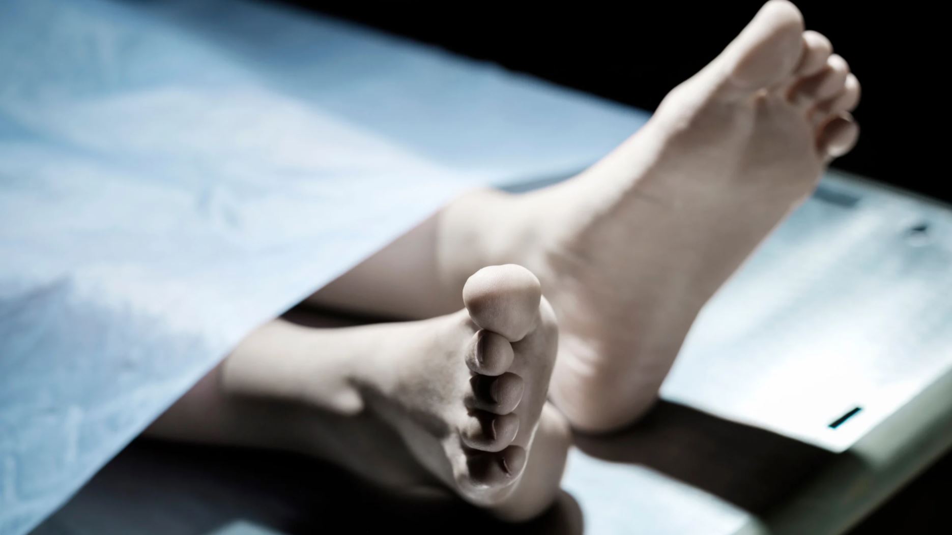 Hallan hombre muerto en sector Los Mameyes de Puerto Plata