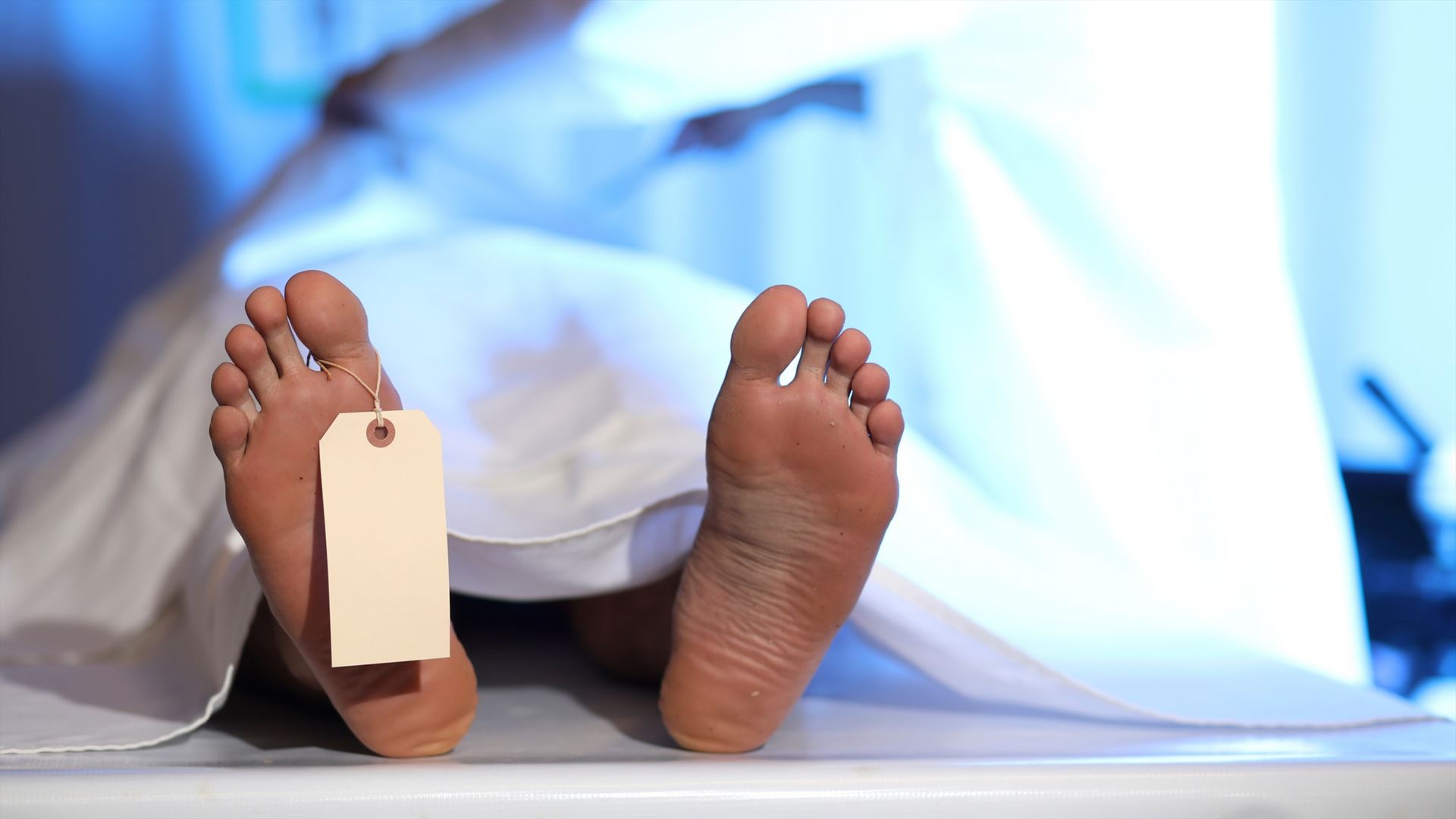 Identifican a alemán encontrado muerto con herida de bala en Camú